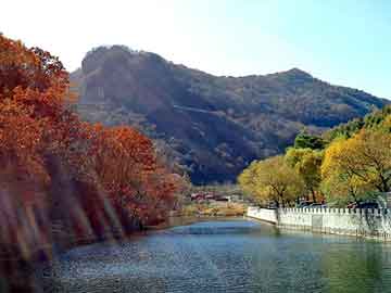 管家婆黑白马报图库，莱芜seo服务